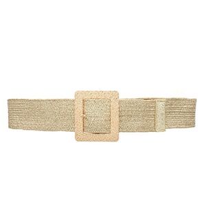 Rectangle Buckle Metallic Straw Belt